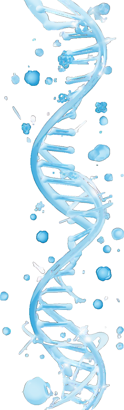 Cấu trúc xoắn kép DNA — công nghệ sinh học Moisten